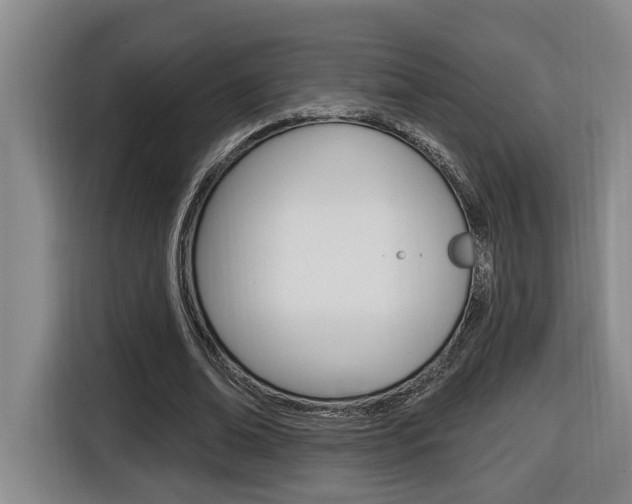 X0000116510678200912090948