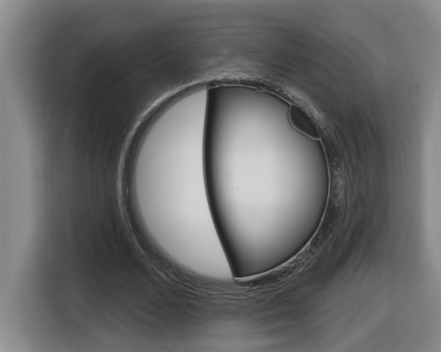 X0000116510680200912090948