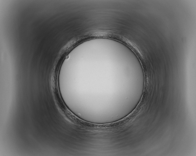 X0000116510682200912090948
