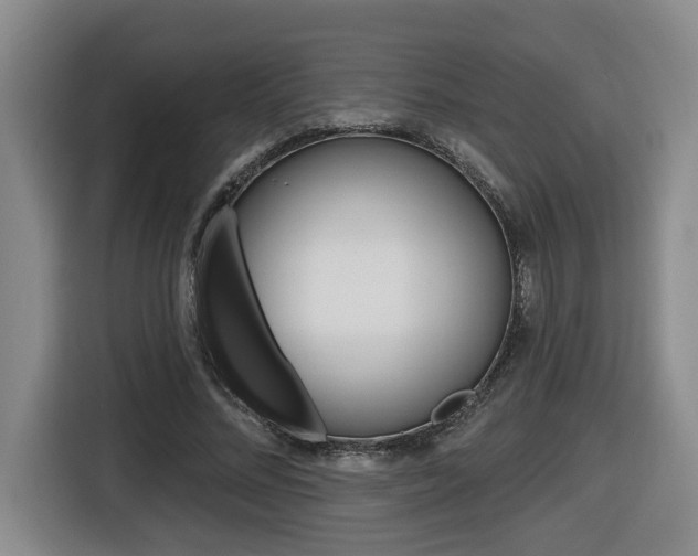 X0000116510684200912090948