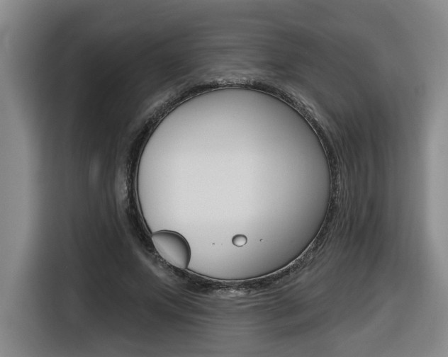 X0000116510687200912090947