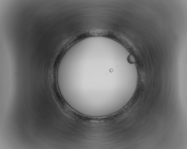 X0000116510690200912090947