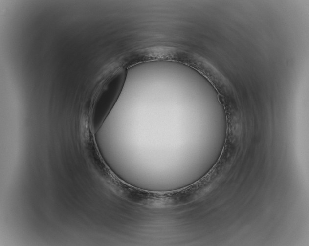 X0000116510696200912090947