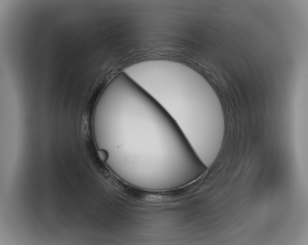 X0000116510699200912090947