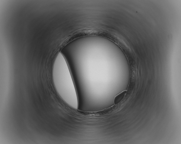 X0000116510700200912090947