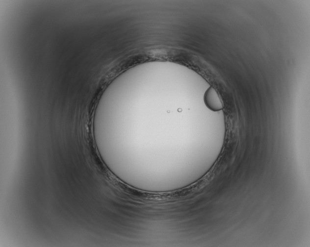 X0000116510702200912090947