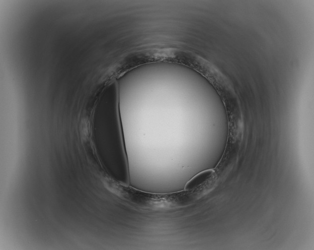 X0000116510704200912090947