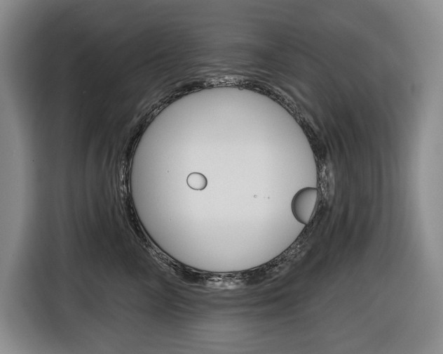 X0000116510714200912090947