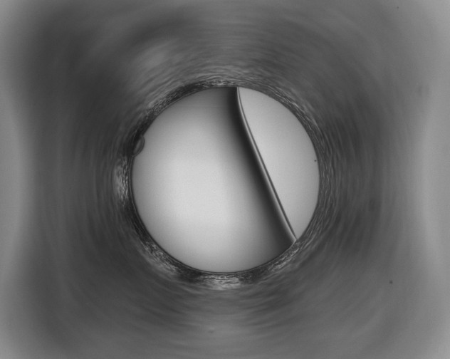 X0000116510719200912090947