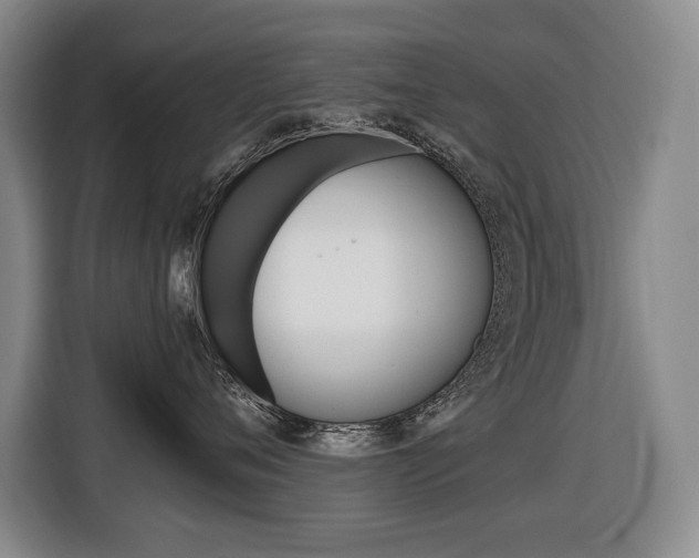 X0000116510720200912090947