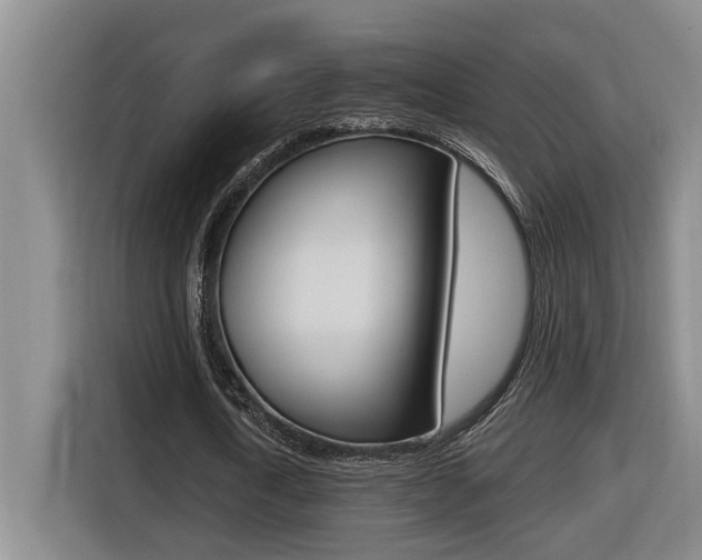 X0000116510722200912090946