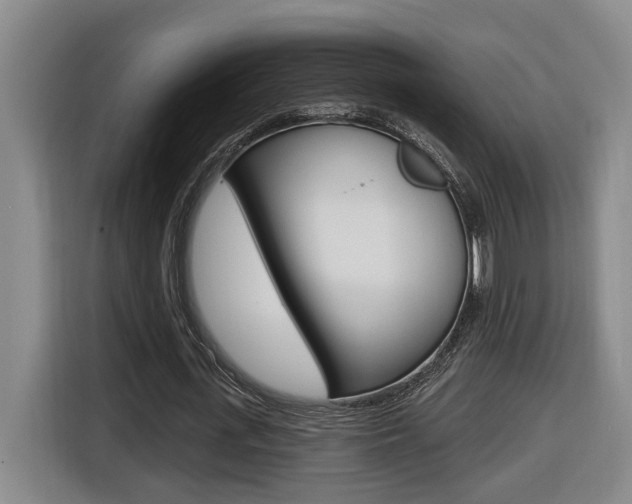 X0000116510723200912090946