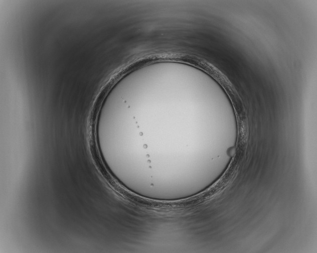 X0000116510725200912090946