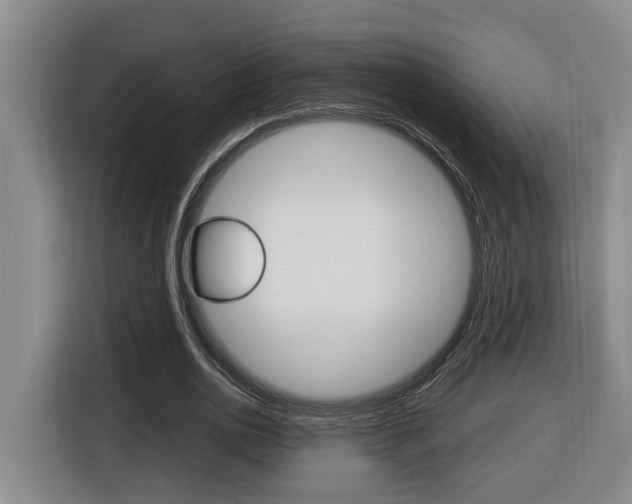 X0000116510726200912090946