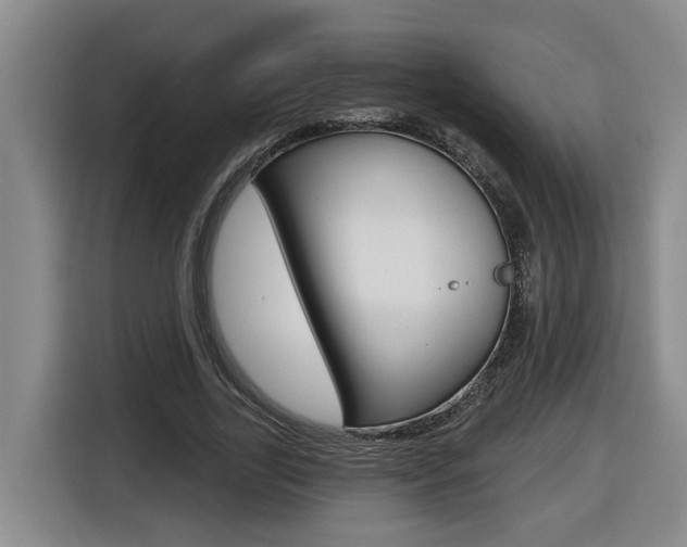 X0000116510731200912090947