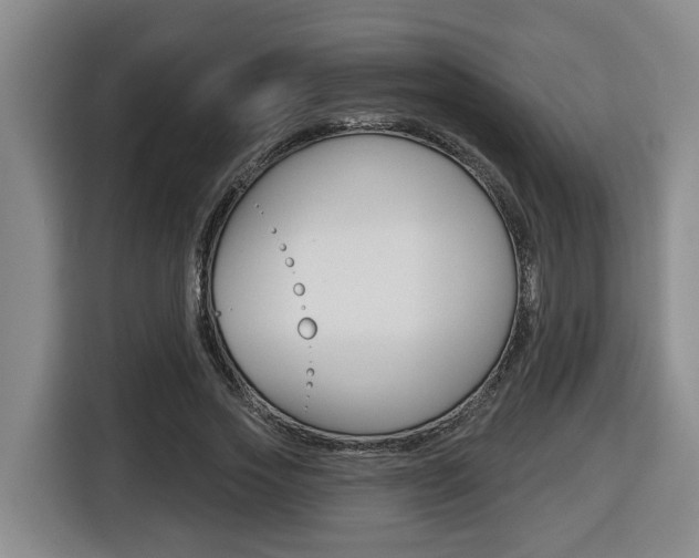 X0000116510733200912090947
