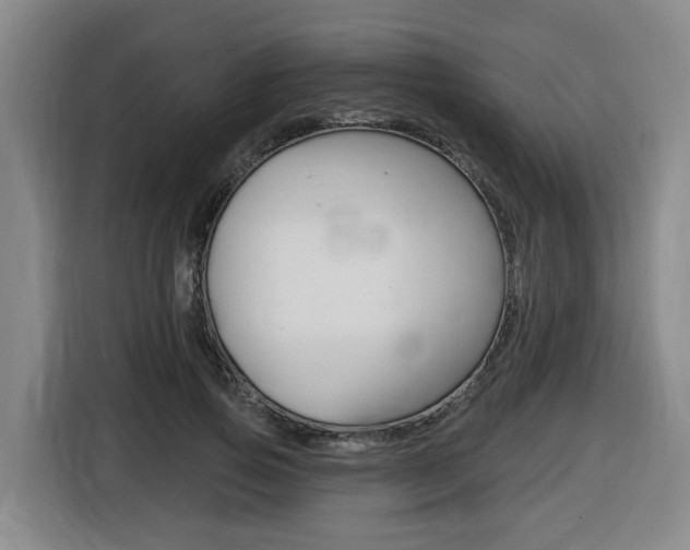 X0000116510741200912090947