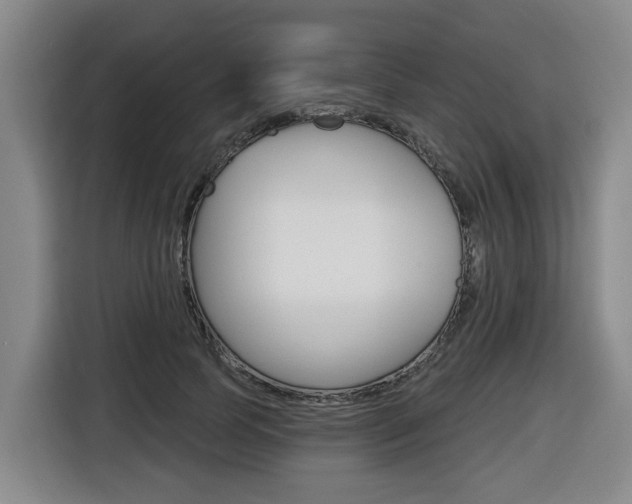 X0000116510745200912090947