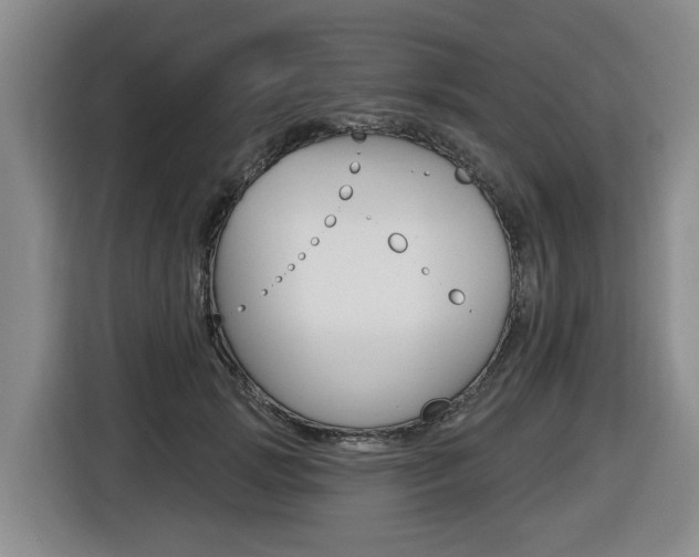X0000116510749200912090947