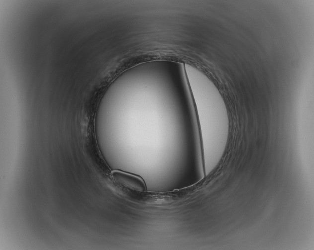 X0000116510750200912090947