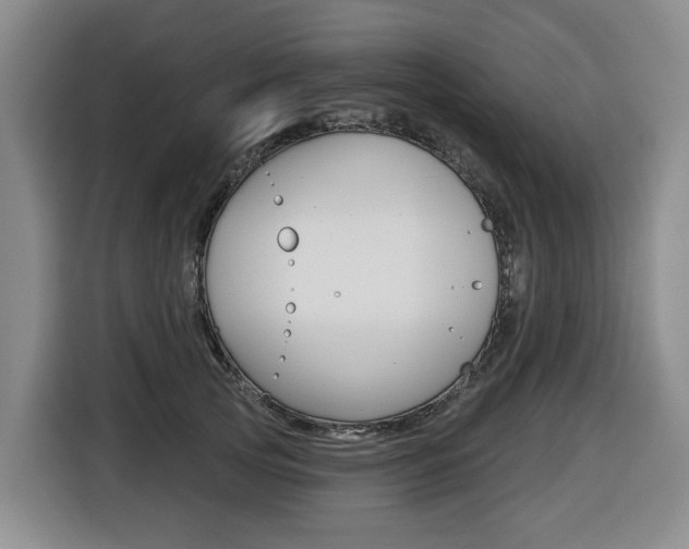 X0000116510753200912090947