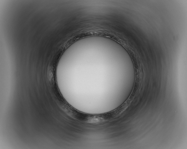 X0000116510754200912090947