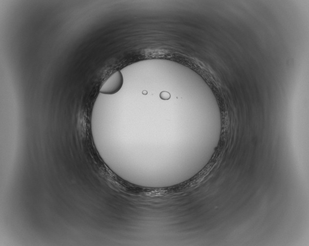 X0000116510761200912090947