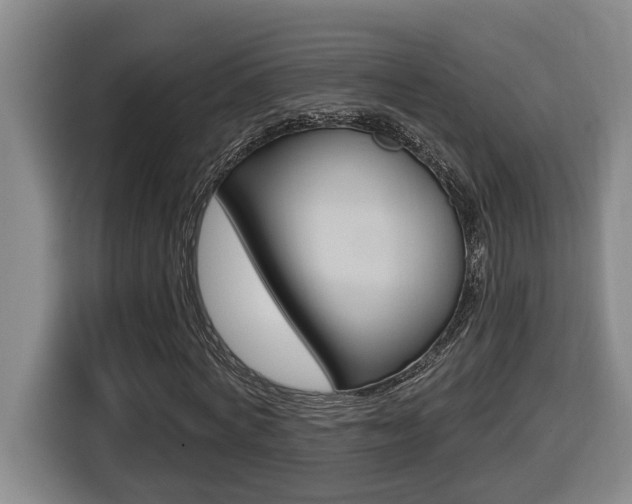 X0000116510772200912090946