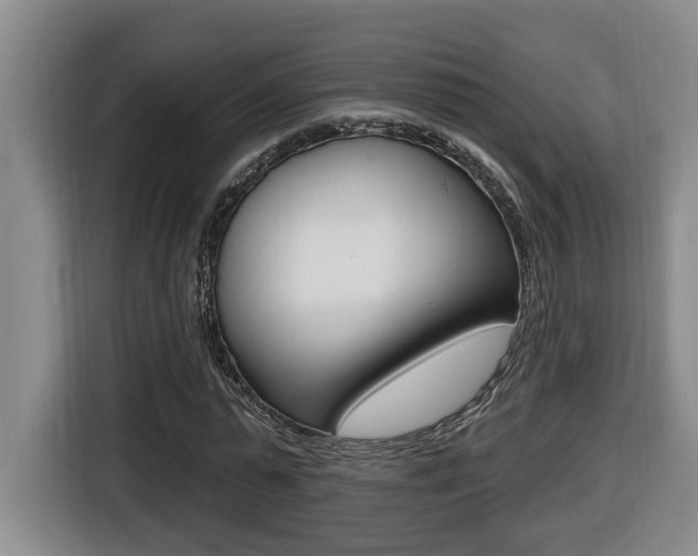 X0000116510775200912090946