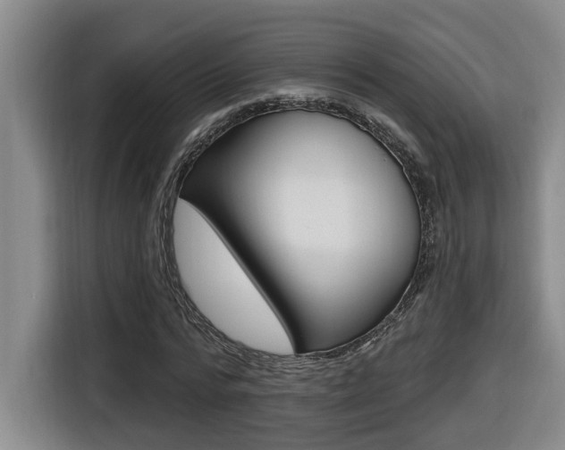 X0000116510776200912090946