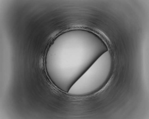 X0000116510777200912090946