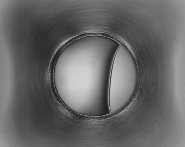 X0000116510779200912090946