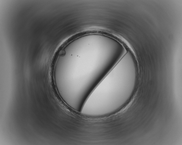 X0000116510783200912090946