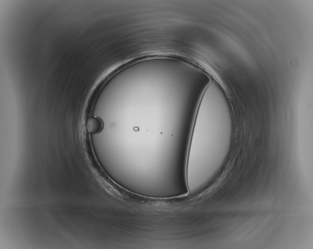 X0000116510787200912090946