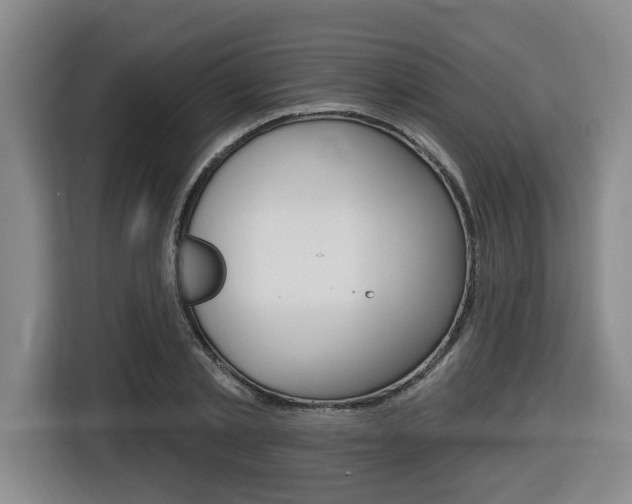 X0000116510789200912090946