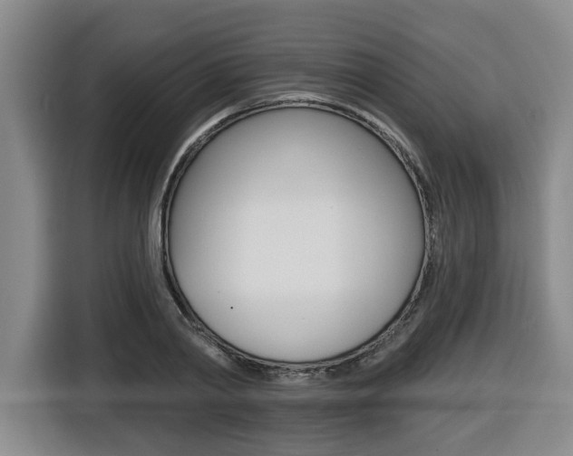 X0000116510790200912090946
