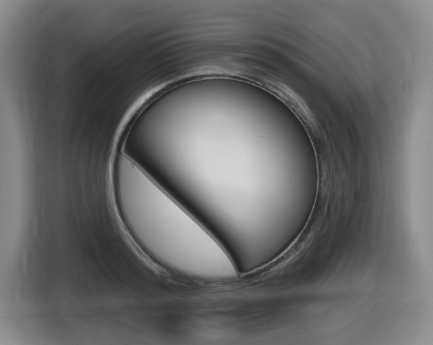 X0000116510796200912090946