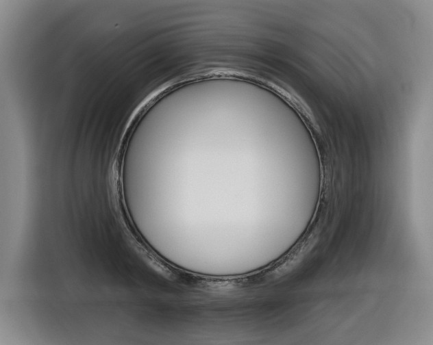 X0000116510798200912090946