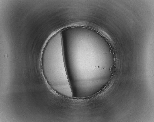X0000116510800200912090946