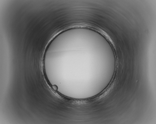 X0000116510802200912090946