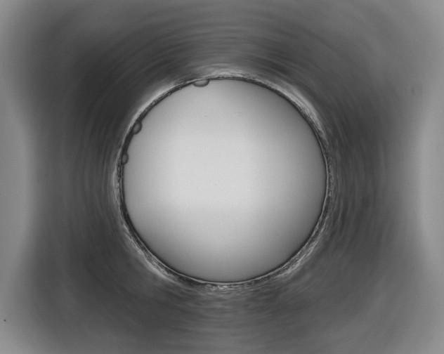 X0000116510806200912090946
