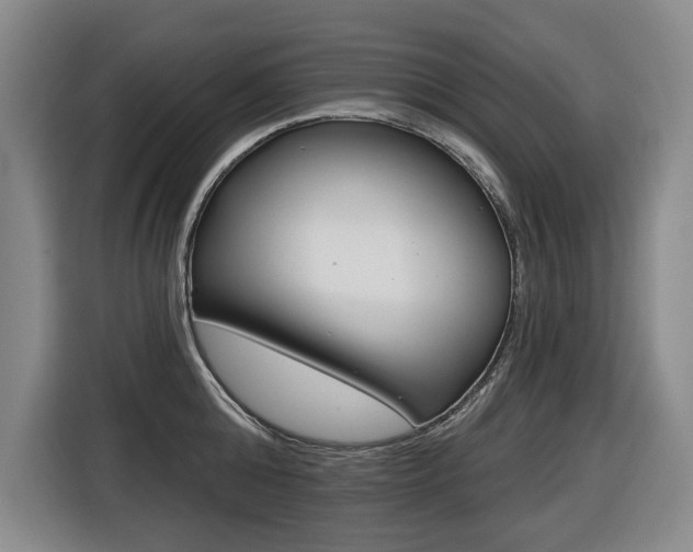 X0000116510808200912090946