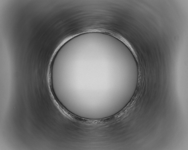 X0000116510811200912090946