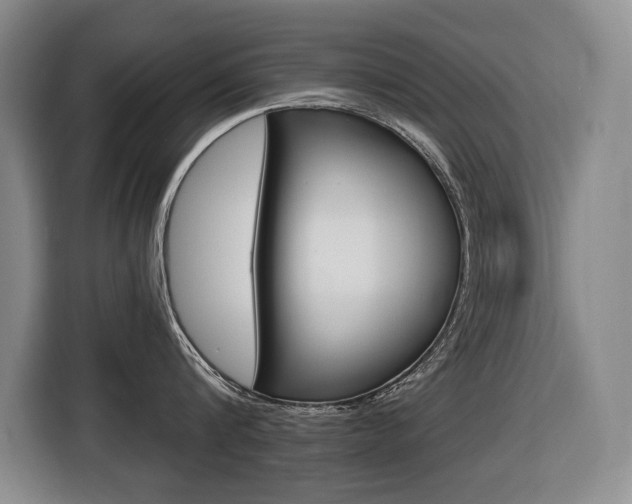 X0000116510816200912090946