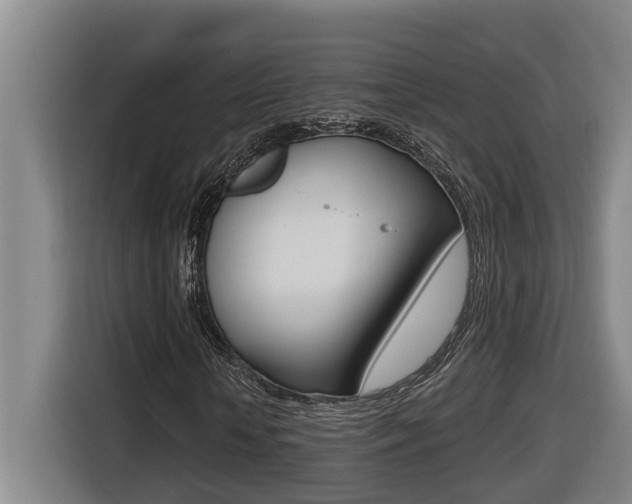 X0000116510818200912090945