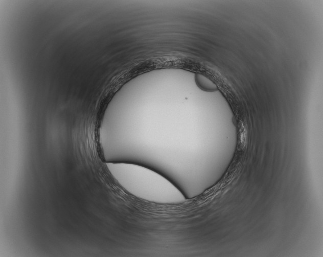 X0000116510819200912090945