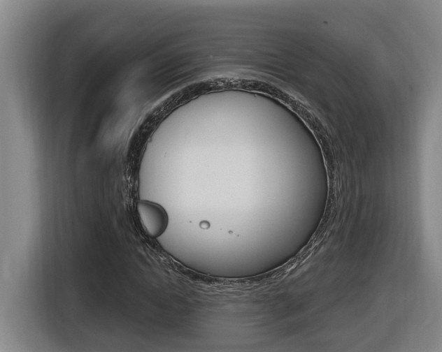 X0000116510822200912090945