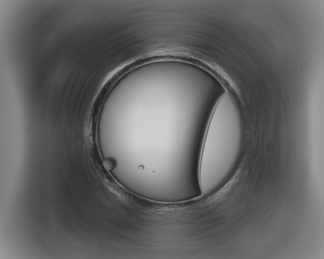 X0000116510830200912090945
