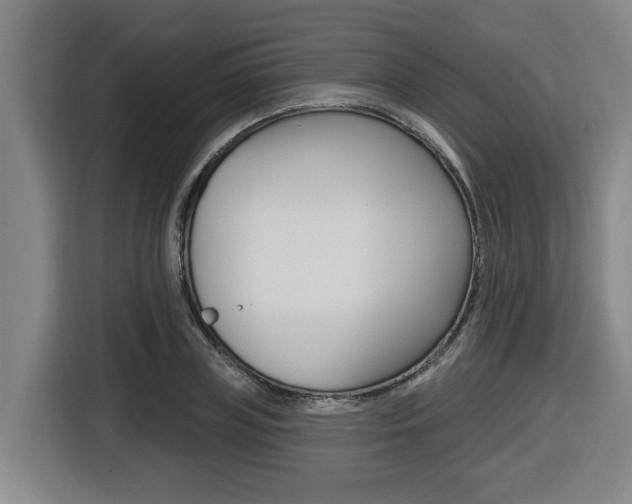 X0000116510835200912090945