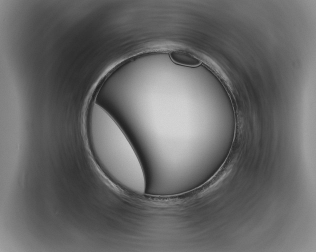 X0000116510843200912090946